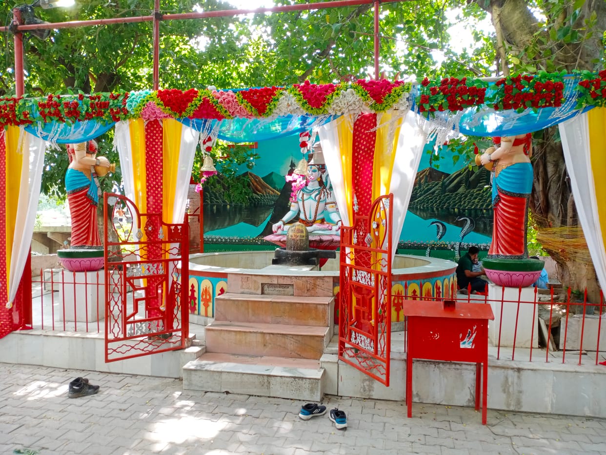 Shiv devotees will perform Jalabhishek in pagodas today