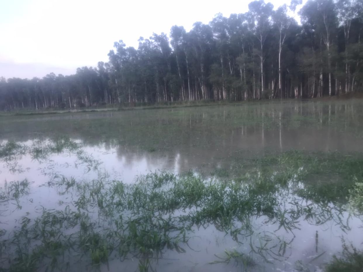 The water level of the Ganges river increased due to the rain falling on the mountains.
