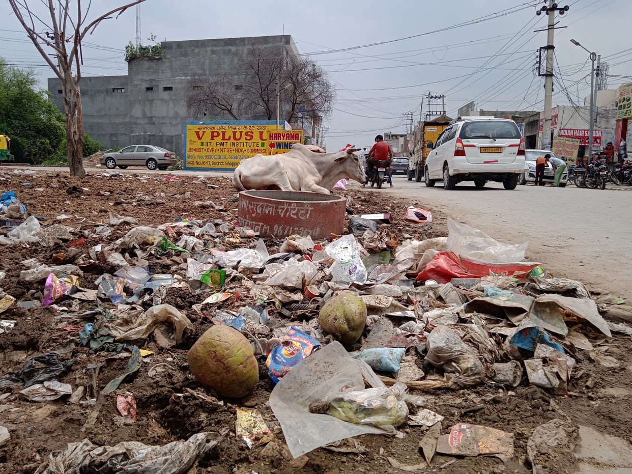 Cleanliness claims false, hope of improvement buried under garbage
