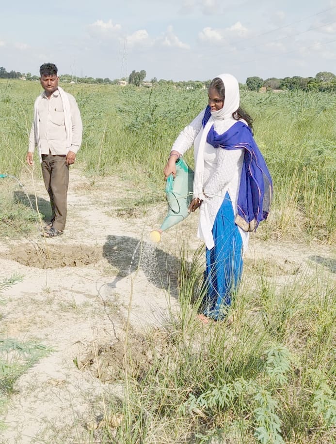 Learn from them environmental protection, saving the lives of plants by carrying water from the car