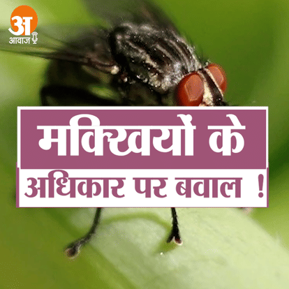 अजब-गजब