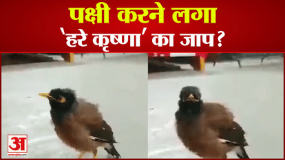 Does this bird also do 'Hari Naam Jaap'?