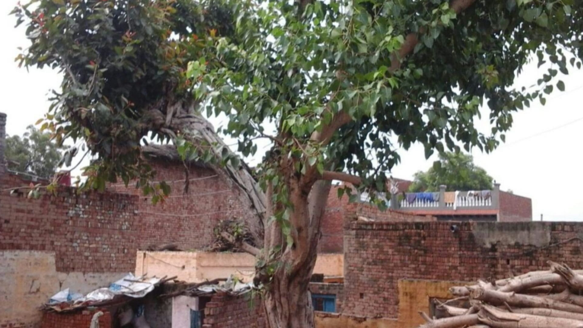British had declared 29 villages of Baghpat as rebels