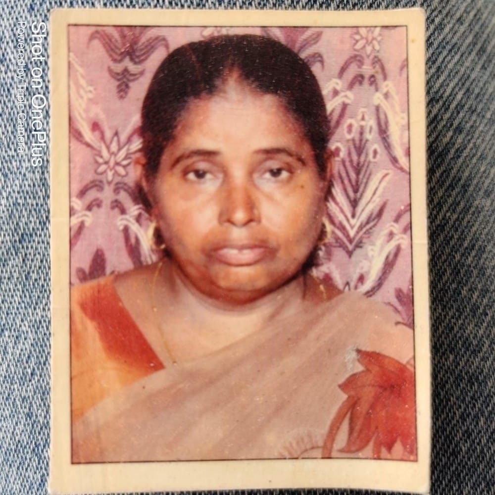 Auraiya: Roadways female clerk dies due to bike collision