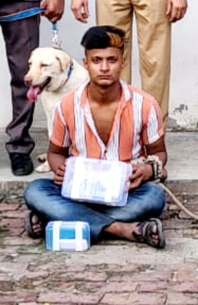 Thief caught for 14 hours with the help of dog squad