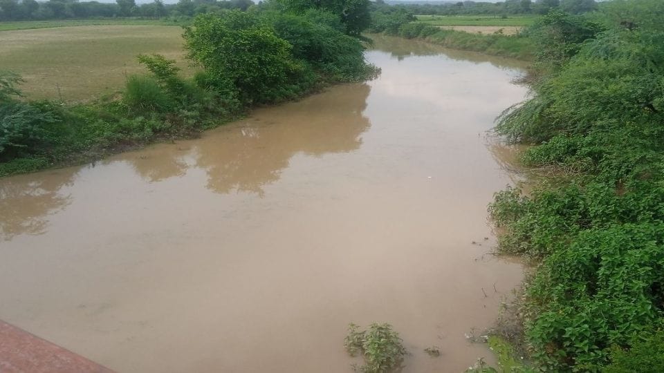 Water conservation in ponds of Jagner in Agra