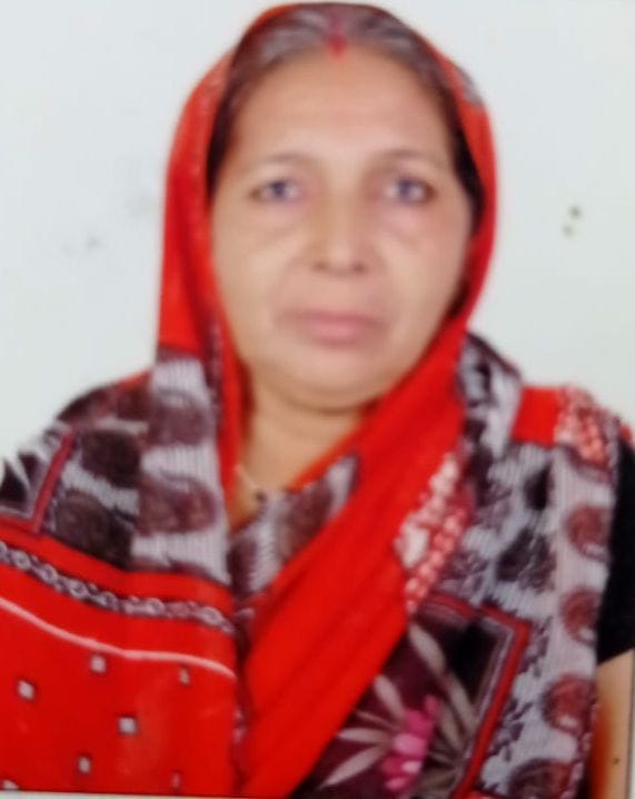 Cow hit an elderly woman, serious head injury, surgery was also done, could not save her life