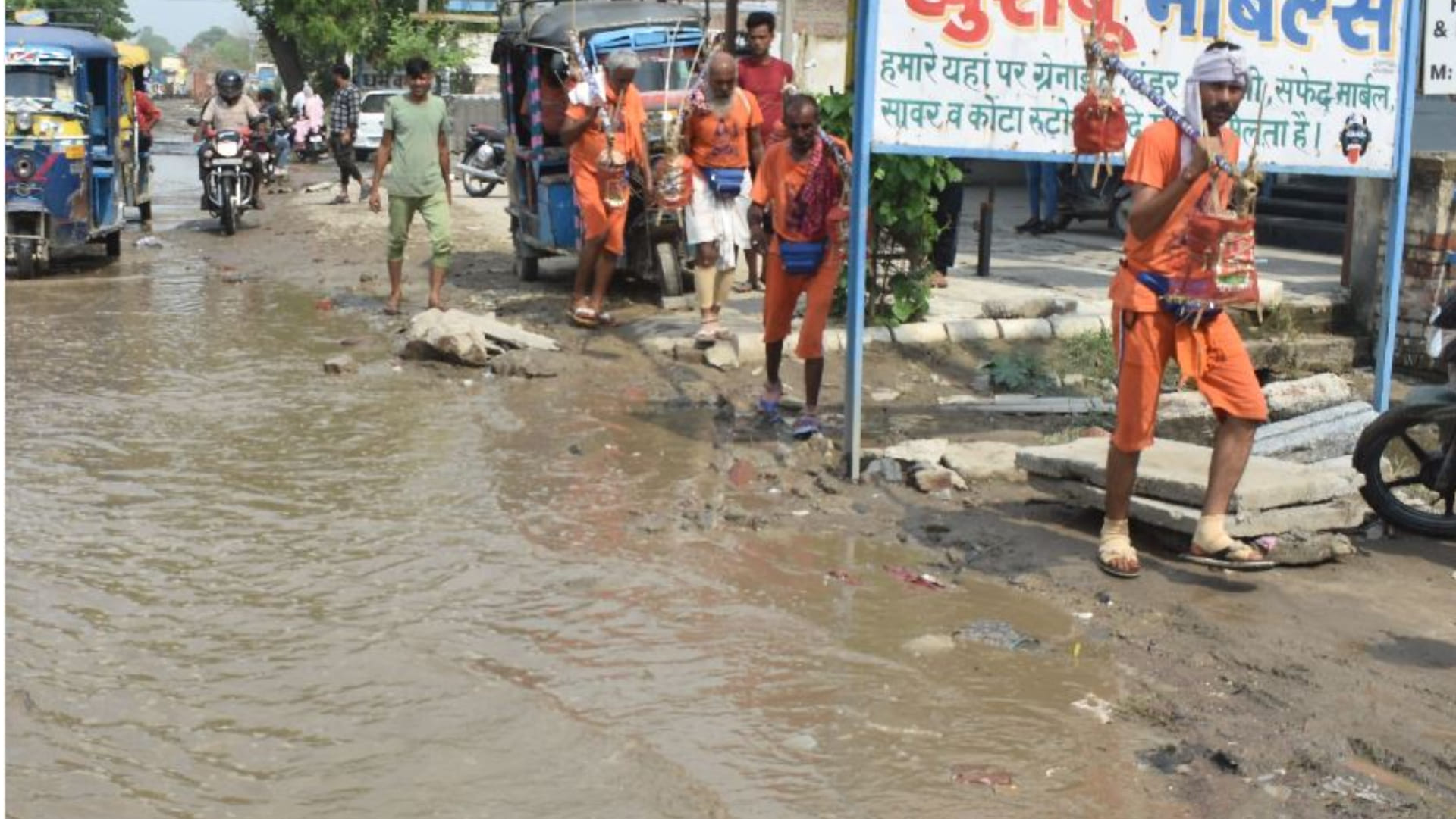 People planted paddy on the highway in Panipat of Haryana