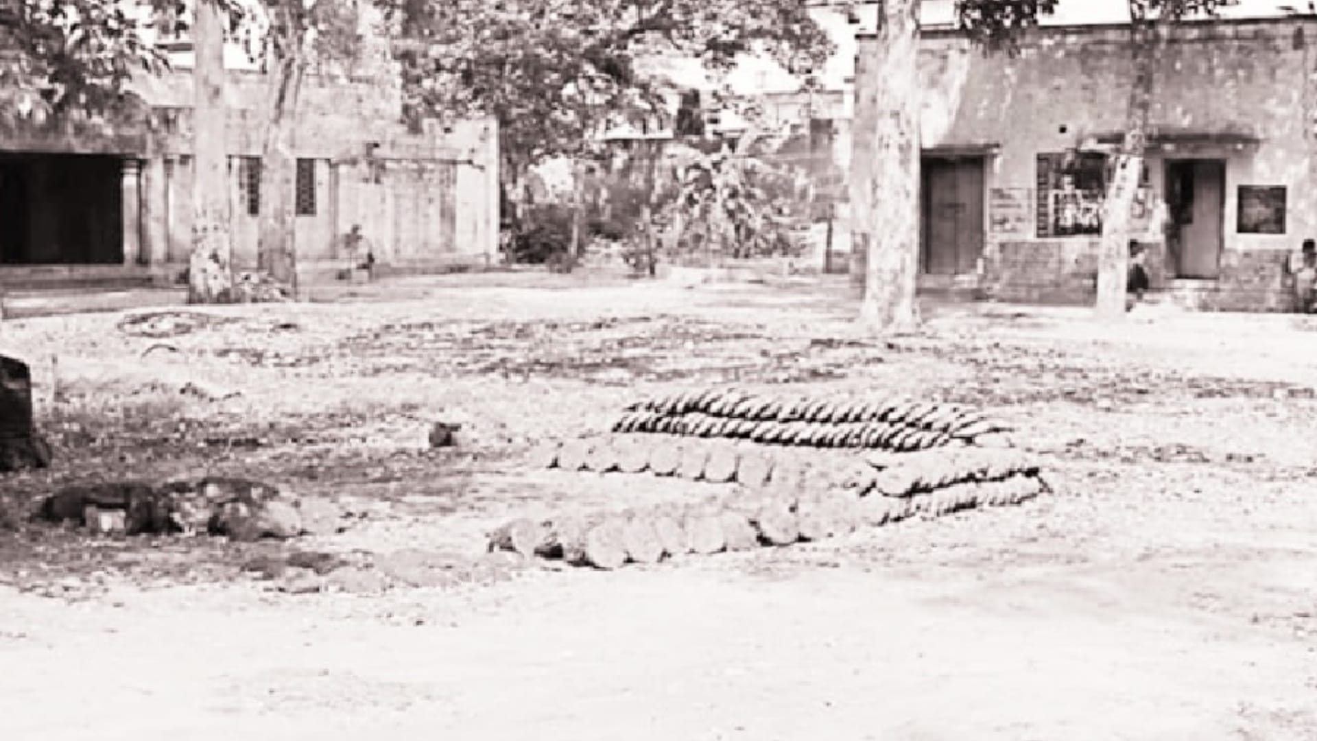 British had declared 29 villages of Baghpat as rebels