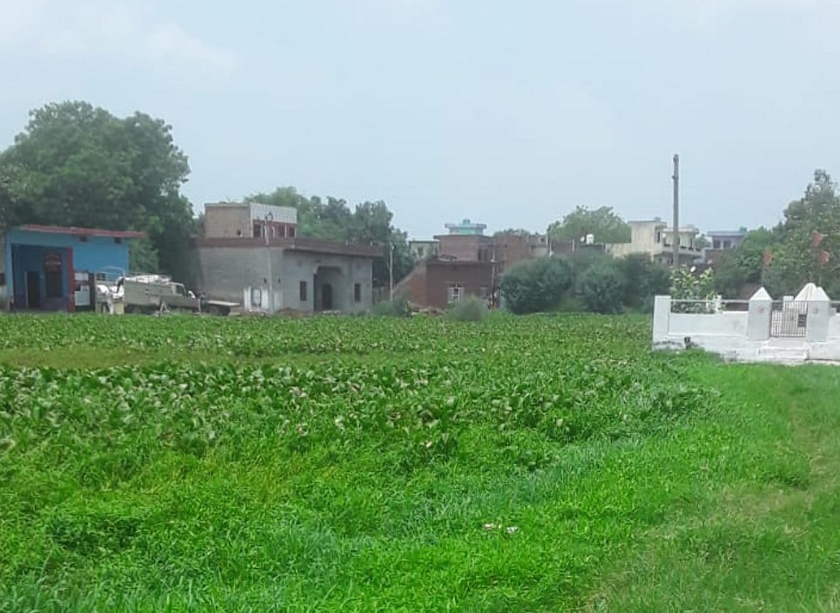 The problem of Pusar village is old, contaminated water filled in the streets