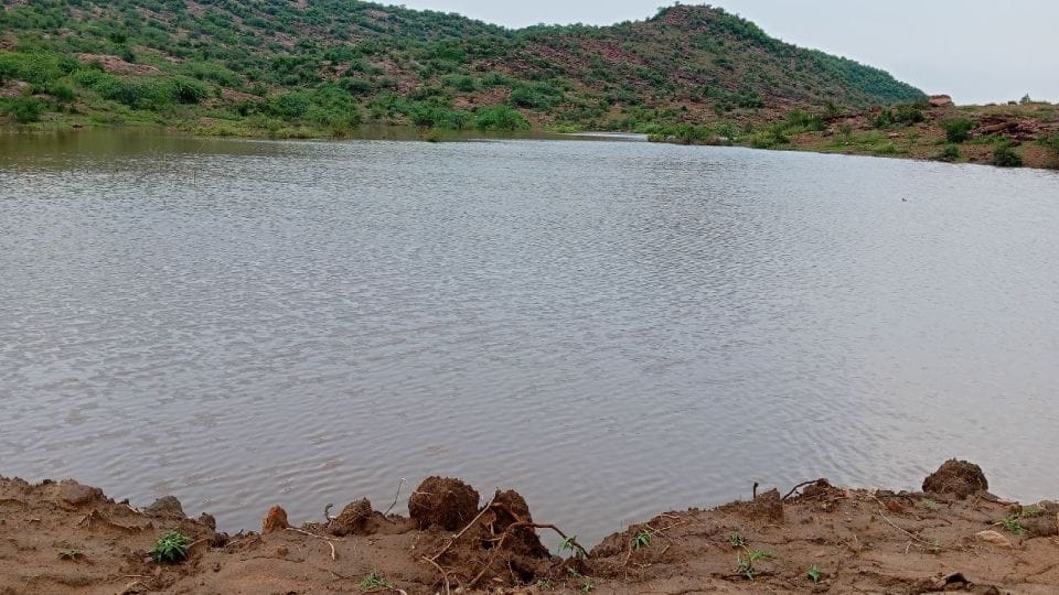 ponds disappearing in raipur chhattisgarh due to unplanned development