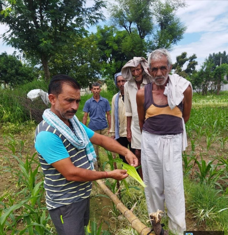 agriculture