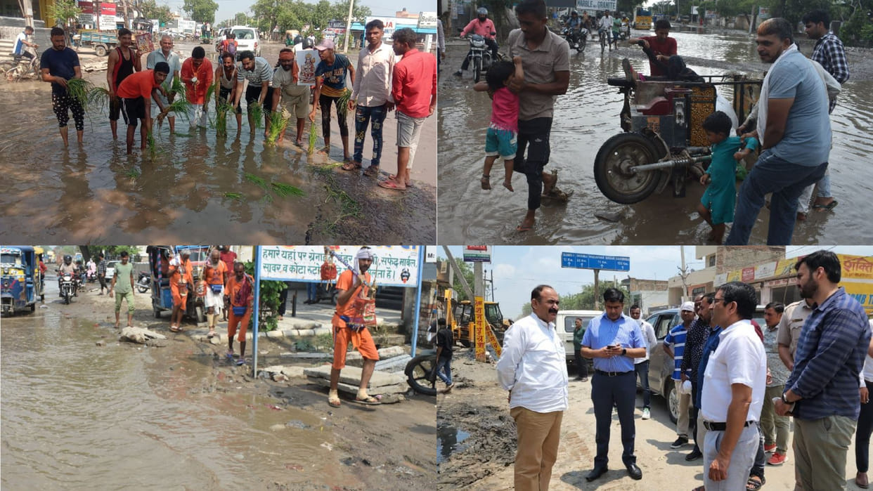 People planted paddy on the highway in Panipat of Haryana
