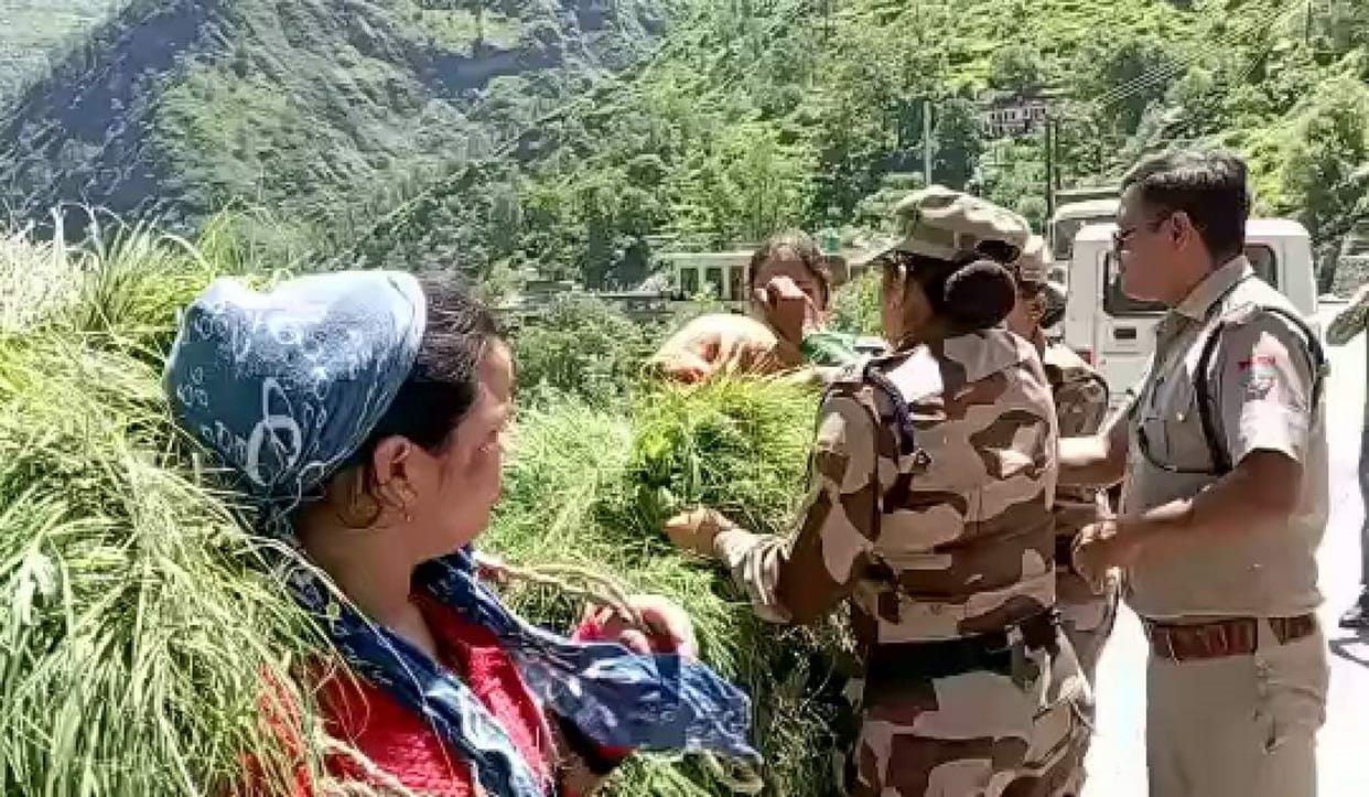 Fodder-leaf dispute in Chamoli Order for investigation taking custody of child