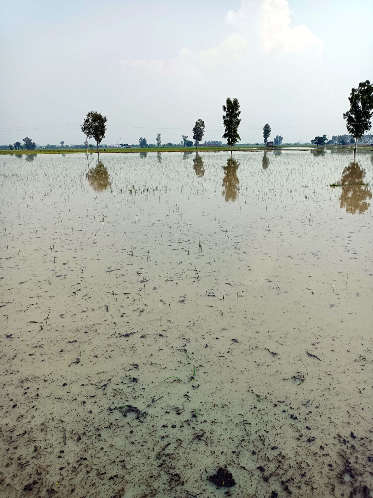 Drain dilapidated and overflow, threat to population with crops