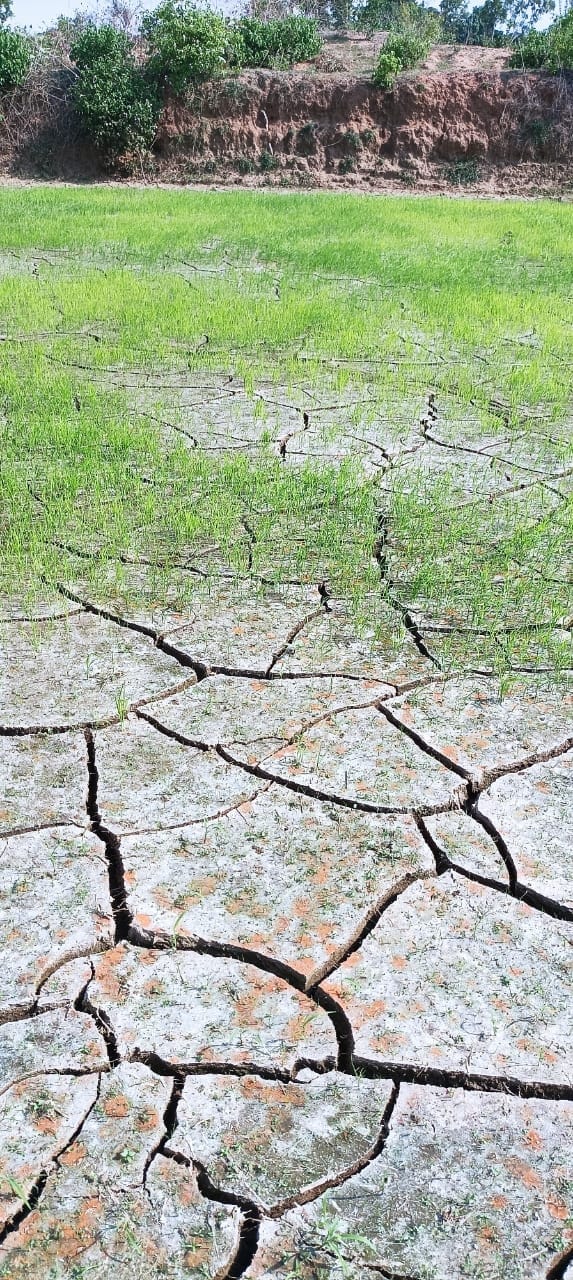 Such drought in Sawan, never seen before