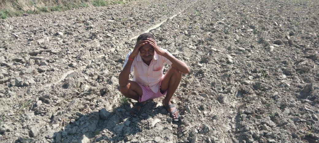 cracks in the fields