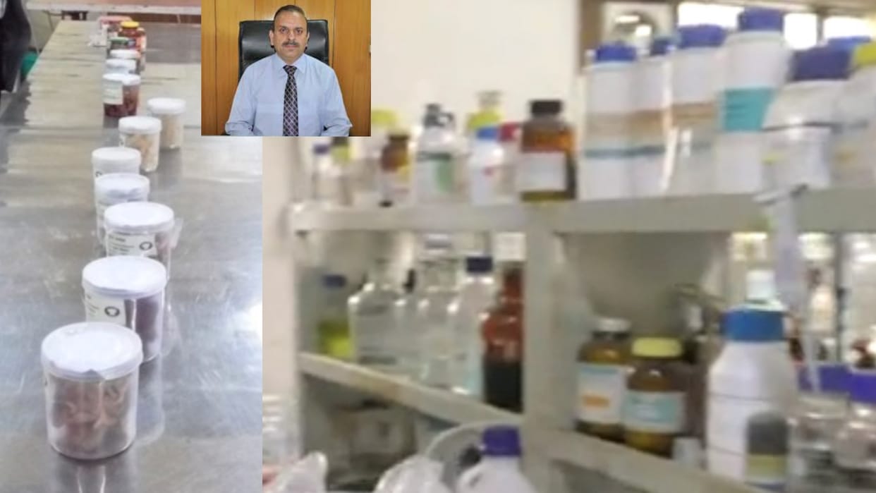 directorate of mushroom research make mushroom masala its benefits for health