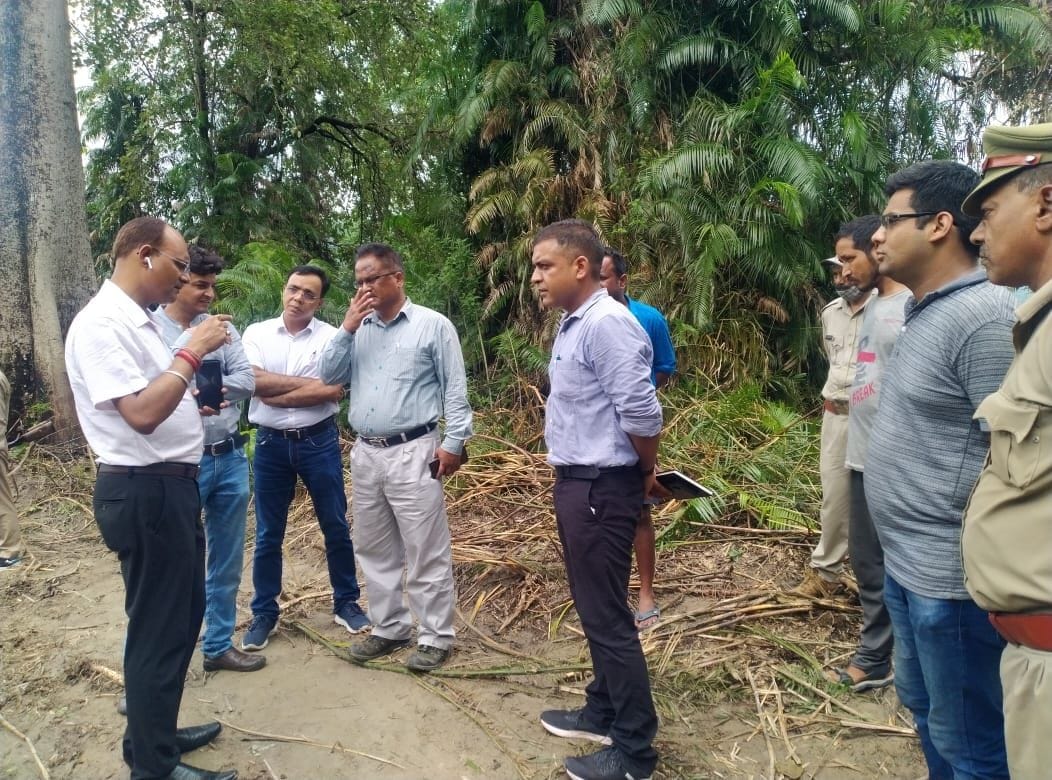 Two tigers identified, will be tranquilized soon