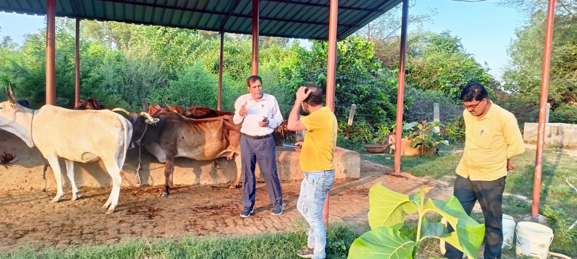 members of the cow protection team inspected the cowshed