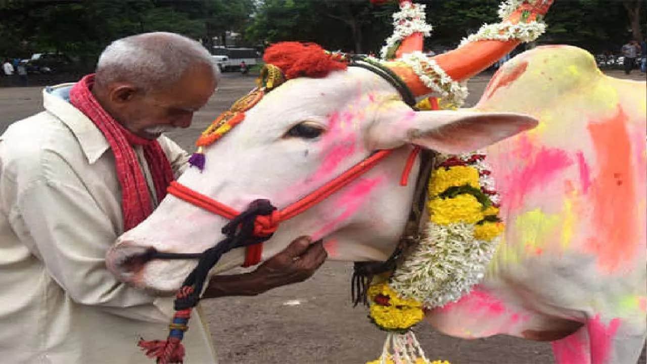 Lal Kitab Ke Upay In Sawan Month Know Remedies To Please Lord Shiva In Hindi