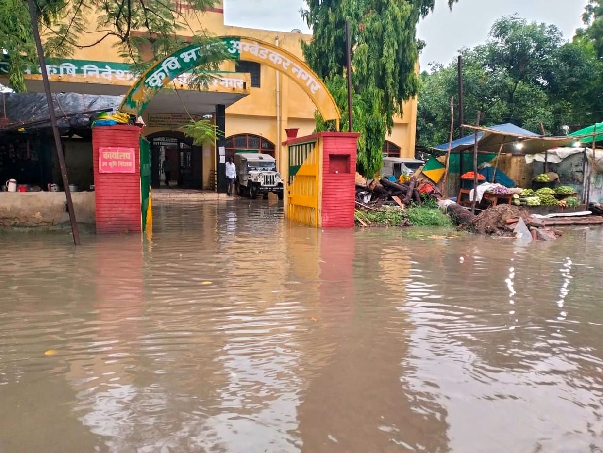 After a long wait, it rained, farmers' faces blossomed