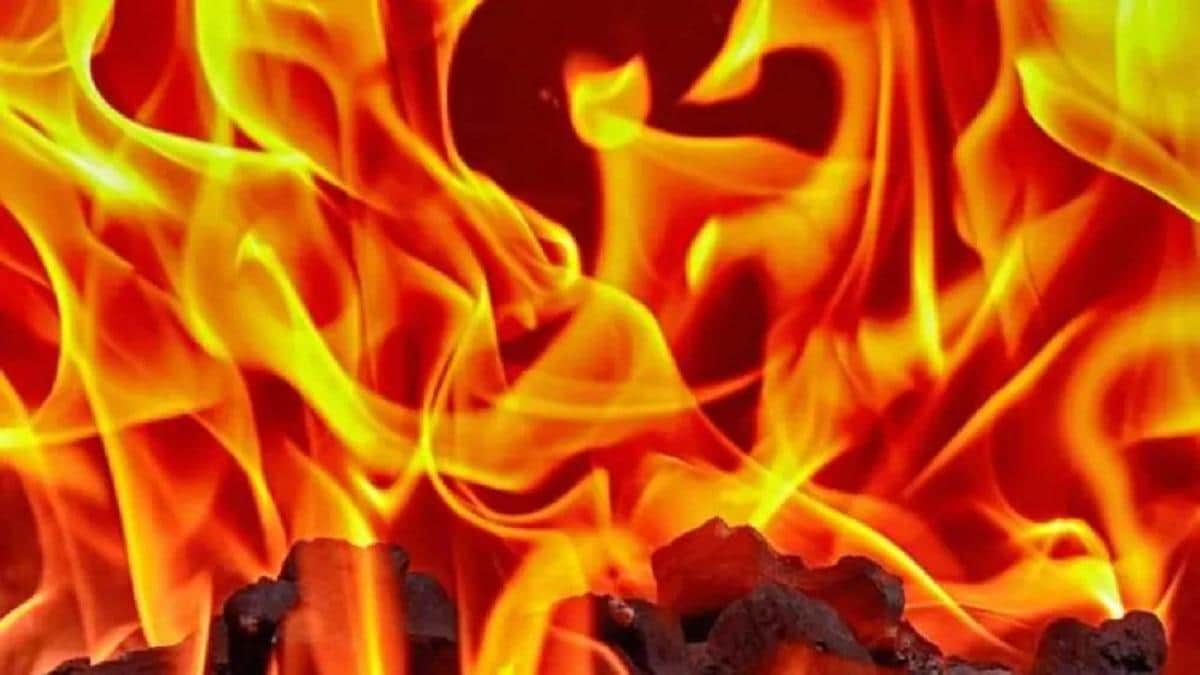 TN : 85 year old DMK cadre self immolates in Salem protesting against Hindi imposition, CM Stalin reacts