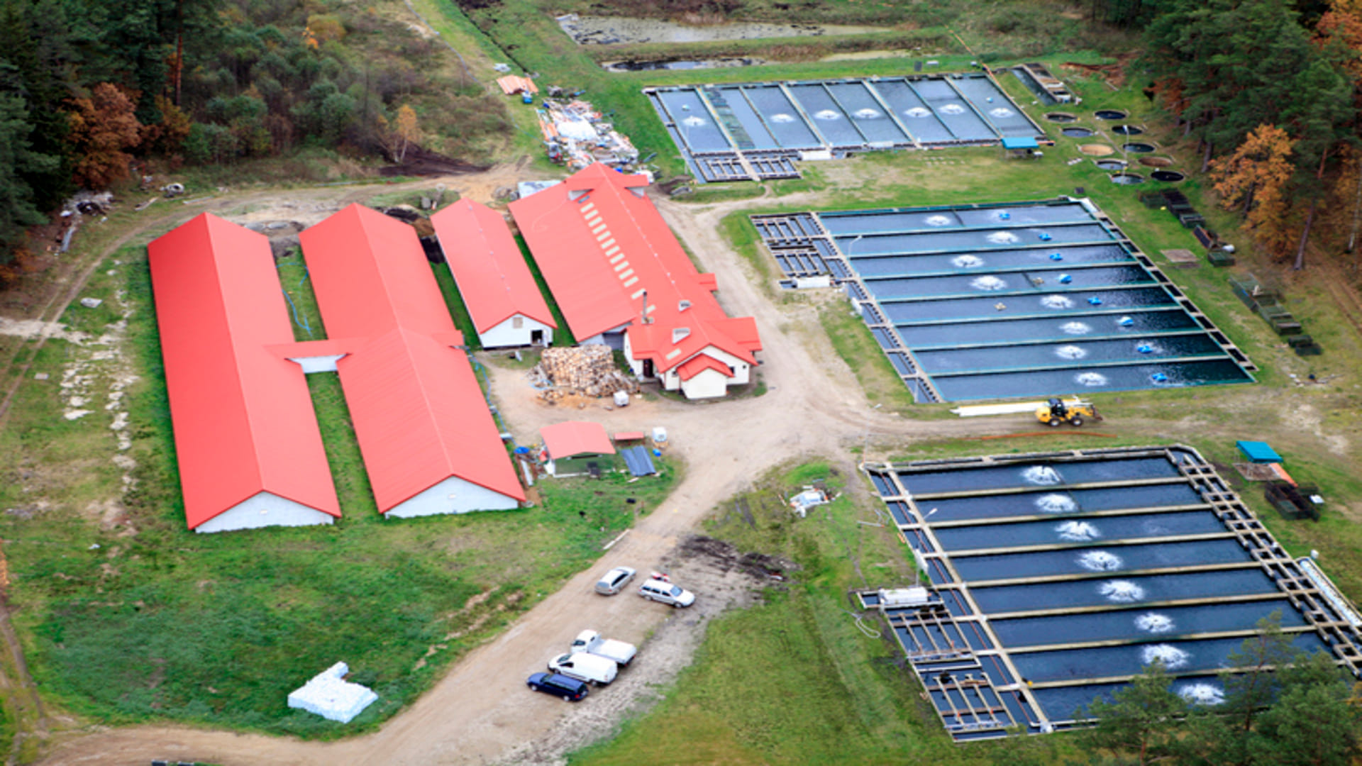 Business Idea By Starting Fish Farming you can earn lakhs of rupees know all details here