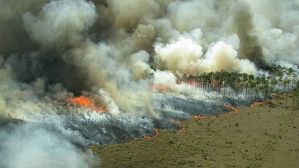 Photos Europe Heat Wave UK France Spain Portugal Hottest Day Heatwave Deaths