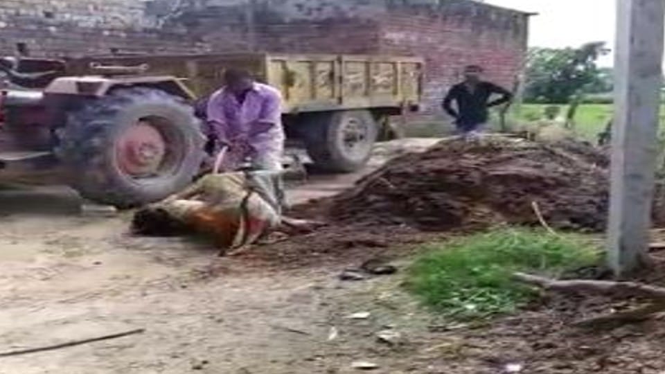 Husband brutally beats his wife by tying her to an electric pole in Agra