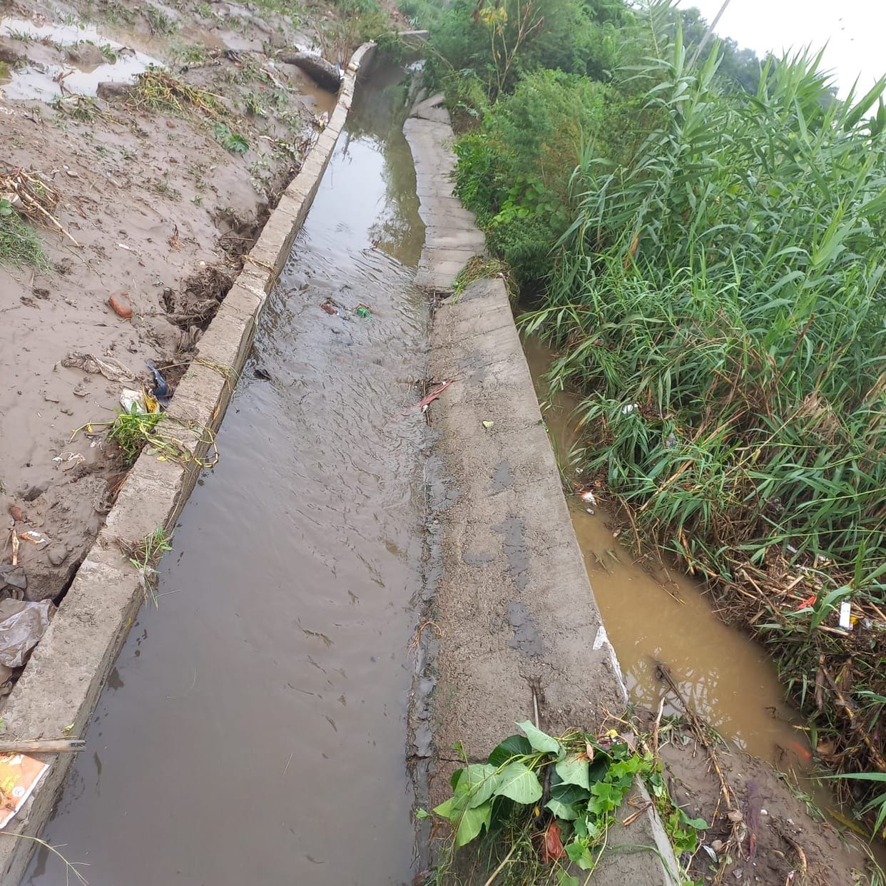 The drain made of 16 lakh rupees collapsed in the first rain itself