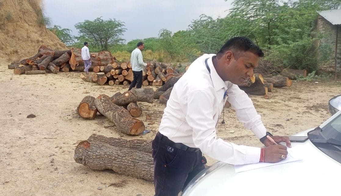 kanpur dehat: Wood logs found in a closed coal furnace in Musanagar, forest department officials investigated