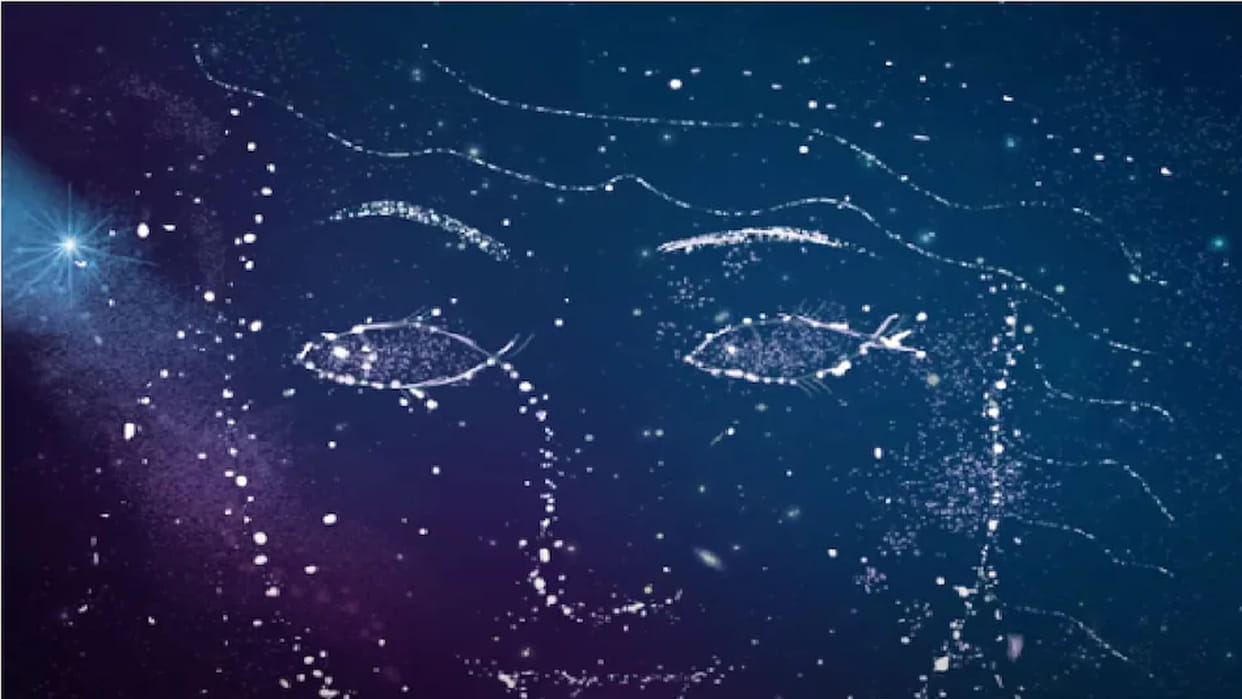 optical illusion what did you see first fishes or face psychological tricks personality test
