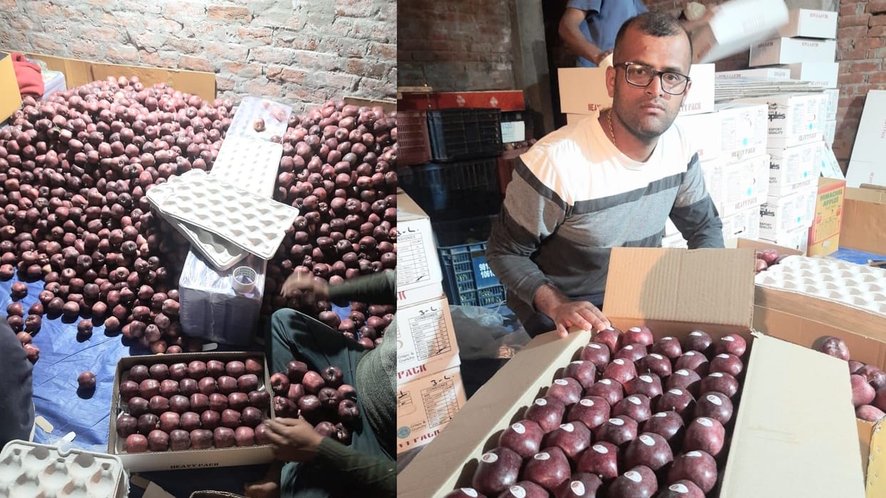 apple season in himachal: early variety apple spur crop advance in two months