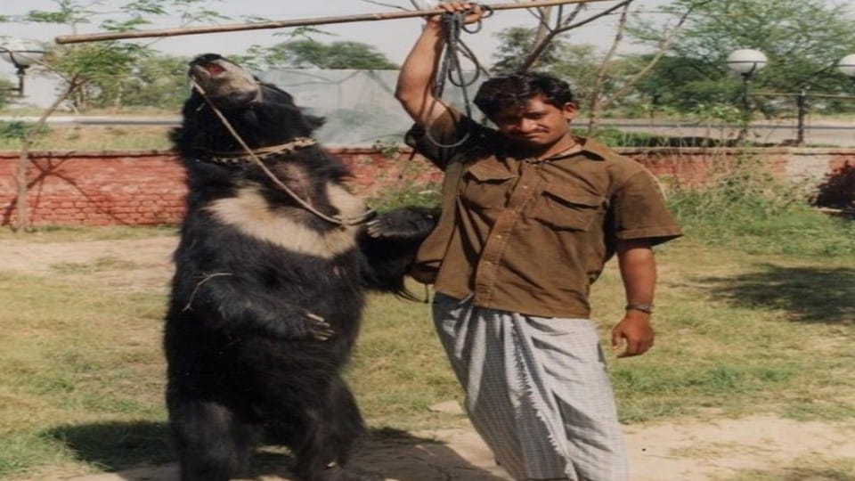 Qalandars of Fatehpur Sikri have not rehabilitated after 22 years in Agra