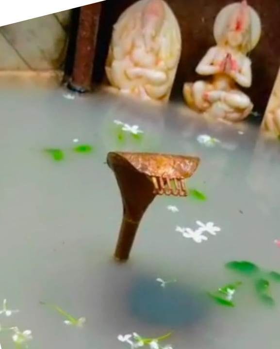 To fulfill the wishes of rain, Shivling was immersed in the Ganges water.