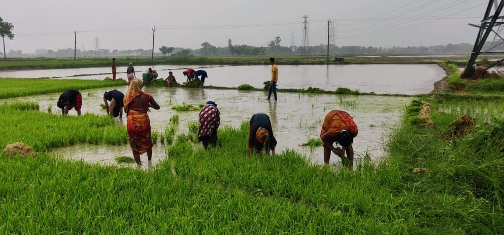 Heavy rain, relief from heat, breathless due to water logging