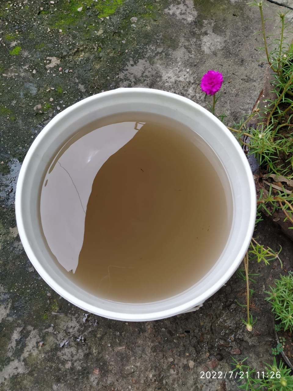 Dirty water coming from taps, fear of spreading disease