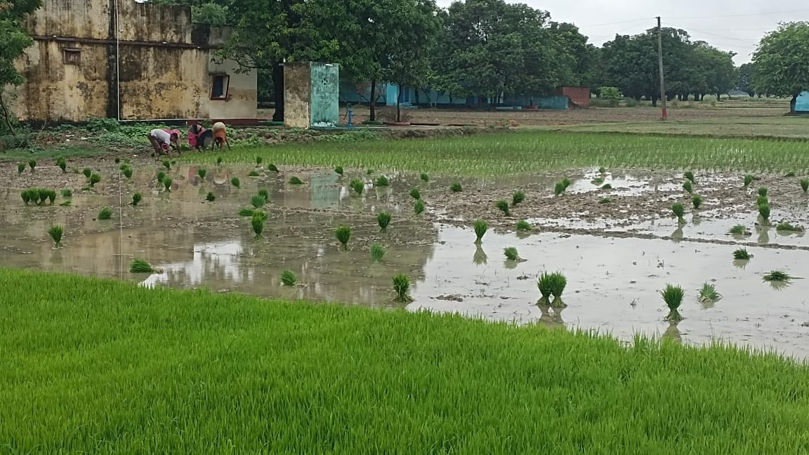 If there is relief from rain, then there is trouble