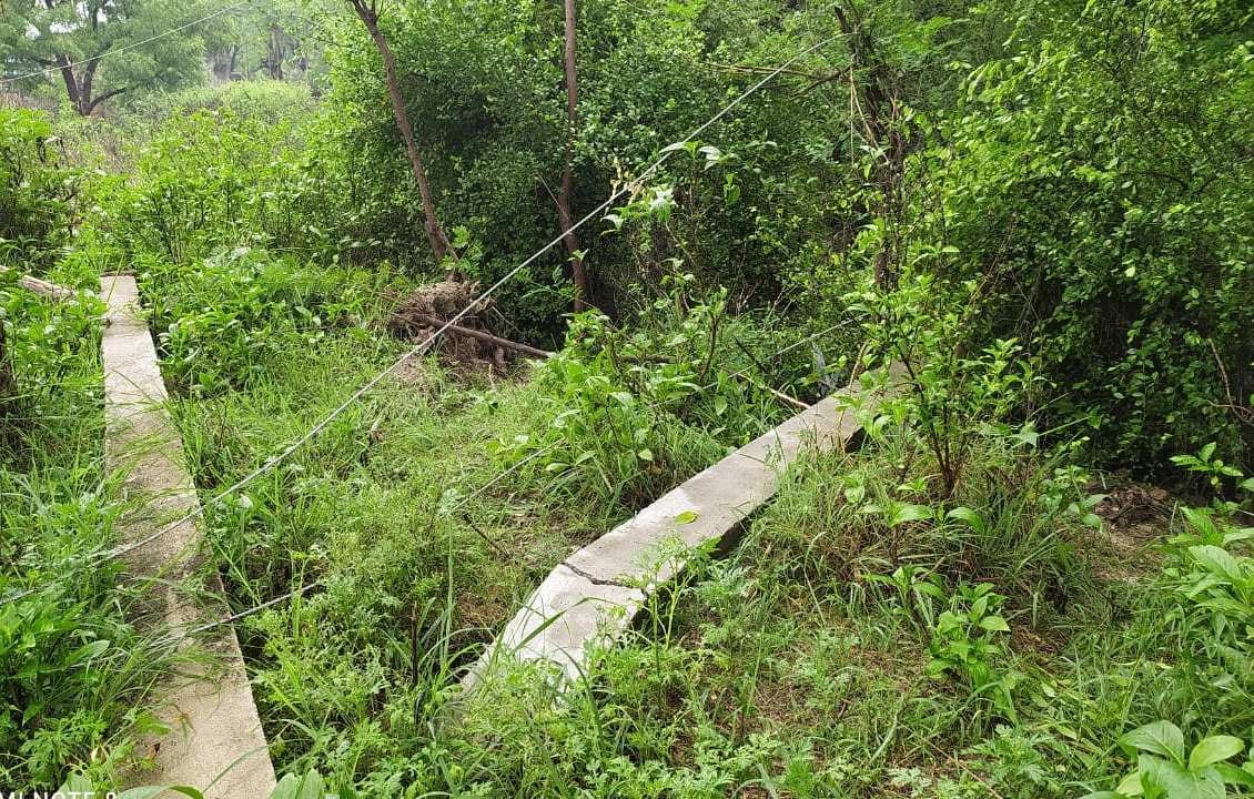 Supply system of 100 villages due to thunderstorms