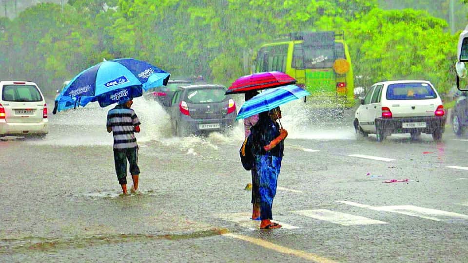 MP Madhya Pradesh Weather Update Today: Yellow alert issued for heavy rain in 10 districts