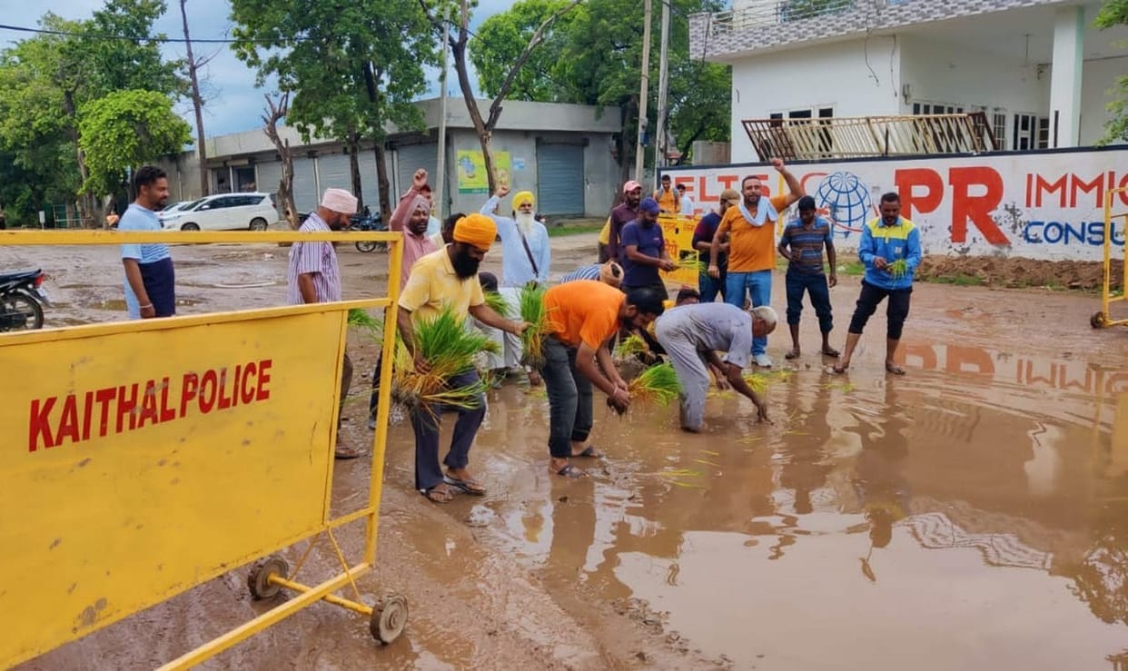 Paddy was planted on the road if not taken care of