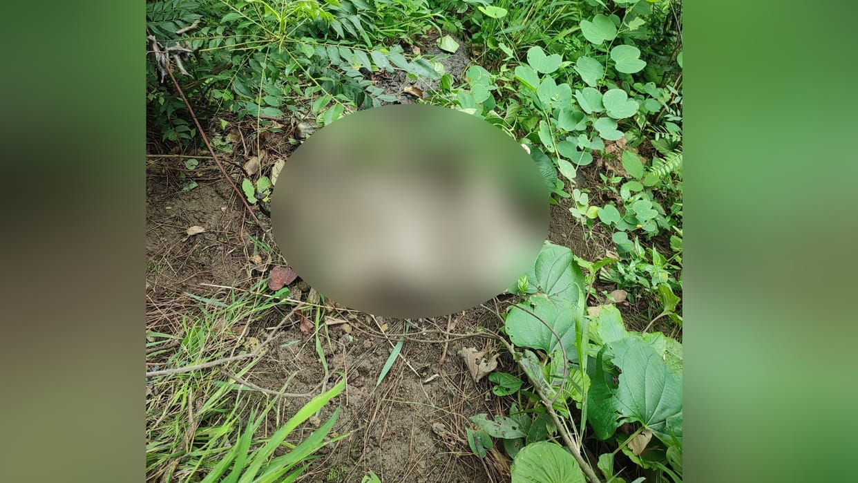 Himachal Bilaspur Murder News: Polytechnic College Student Dead Body upper part Found in sack
