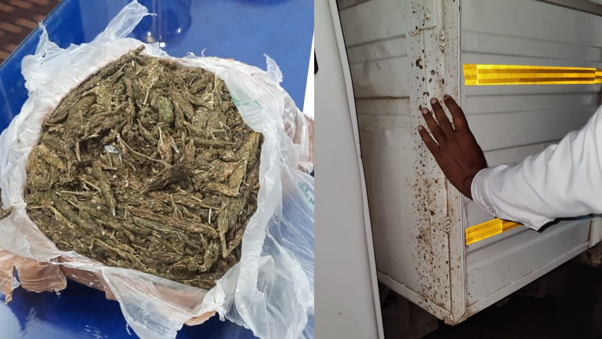 Two accused arrested for smuggling ganja in a filmy style in Chhatarpur, were carrying vegetables hidden in a