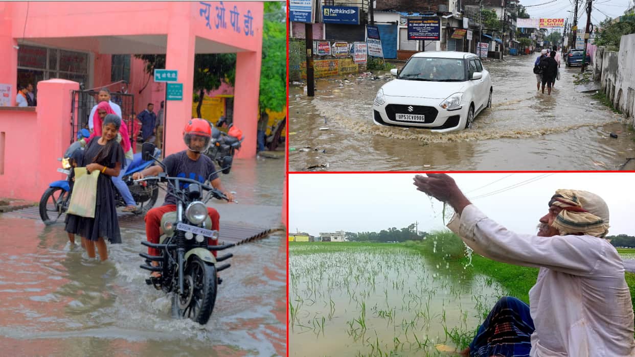 Gorakhpur received highest and Kushinagar received least rain