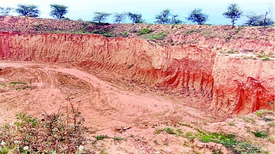 in aravali mafia is earning not only by illegal mining of stone by soil also