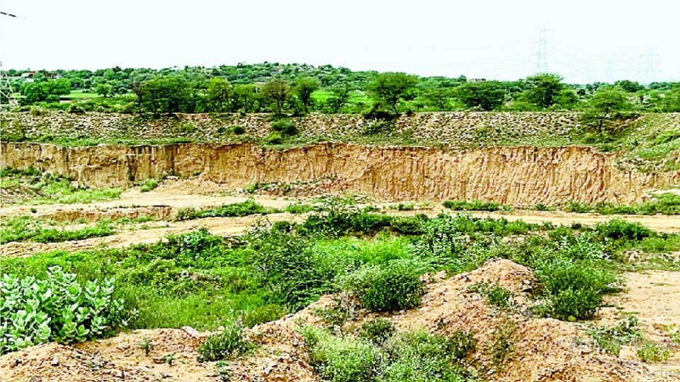 in aravali mafia is earning not only by illegal mining of stone by soil also