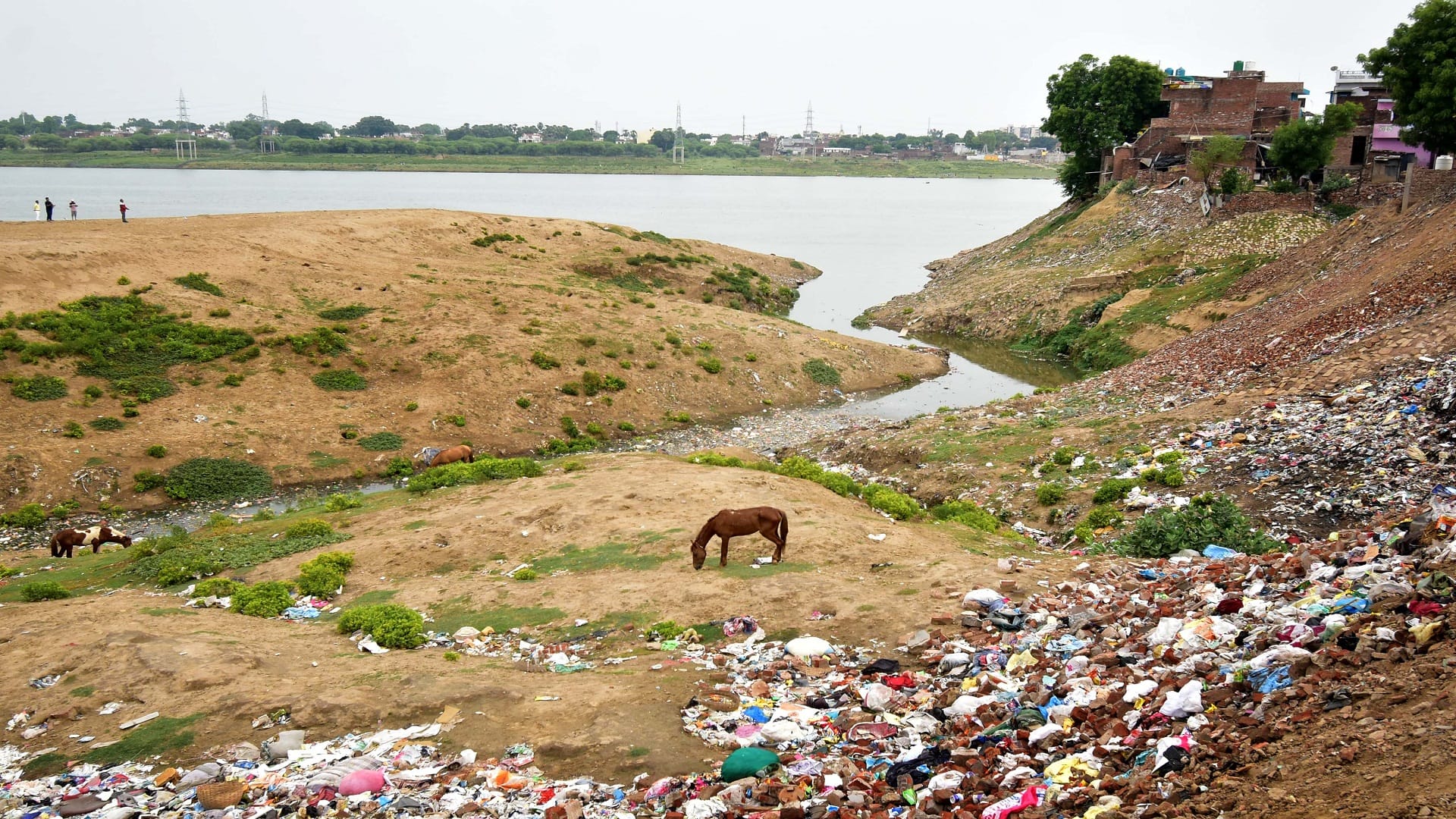 Seven crore liters of dirty water falling daily in Rapti-Rohin river