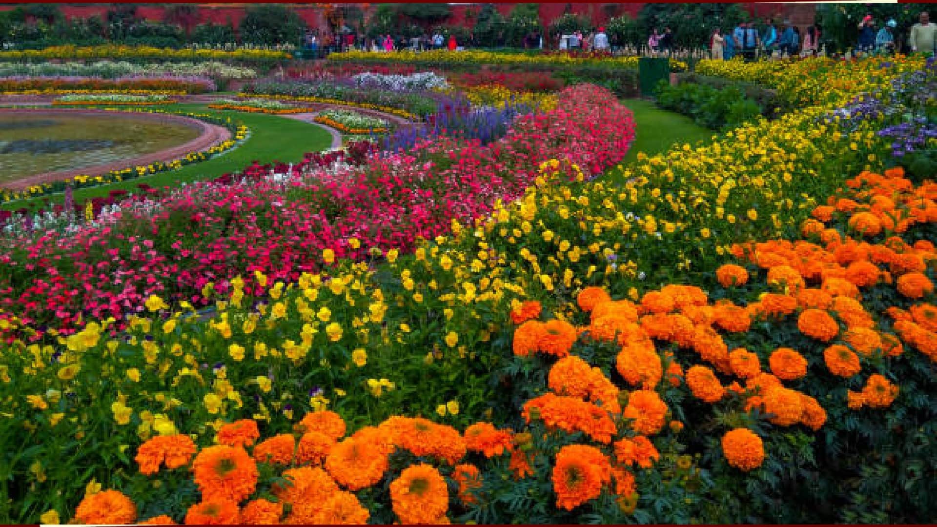 What is the Salary of President of India and Know Govt Facilities for President