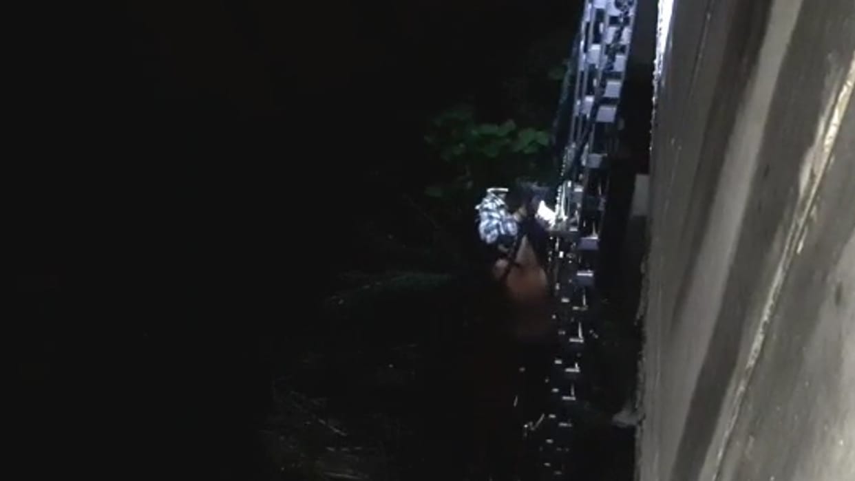 person who fell in a pond while intoxicated was rescued after two hours of hard work in rajsamand district